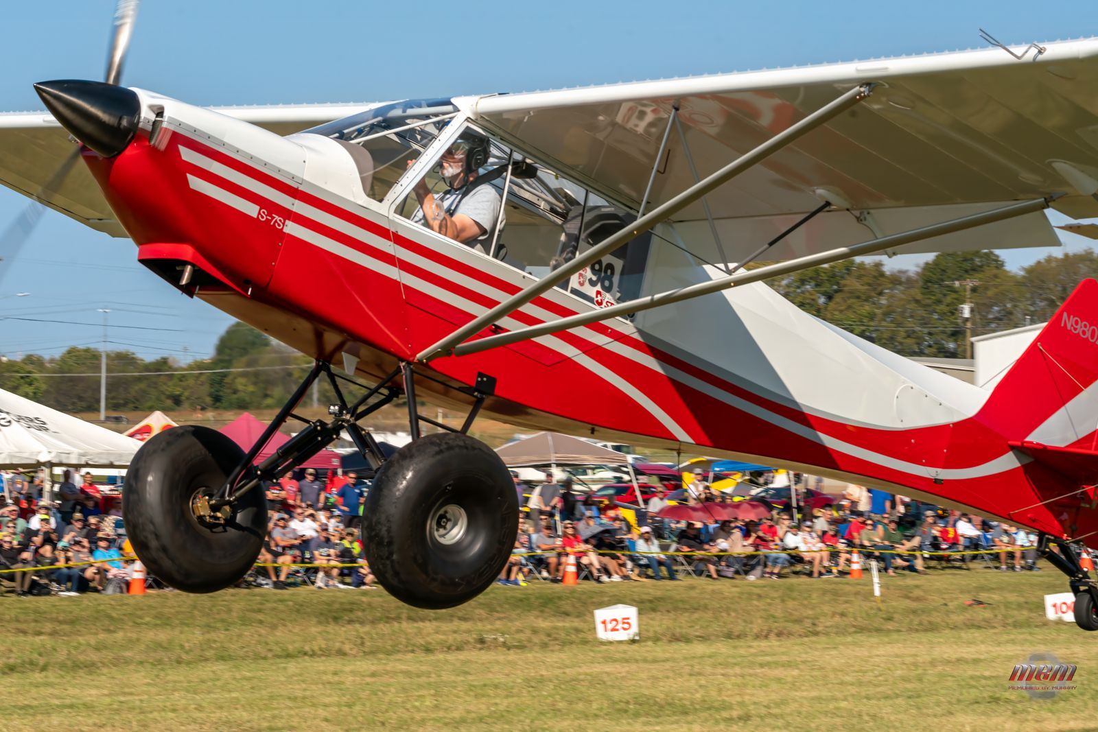 Red Cub floating over a packed crowd