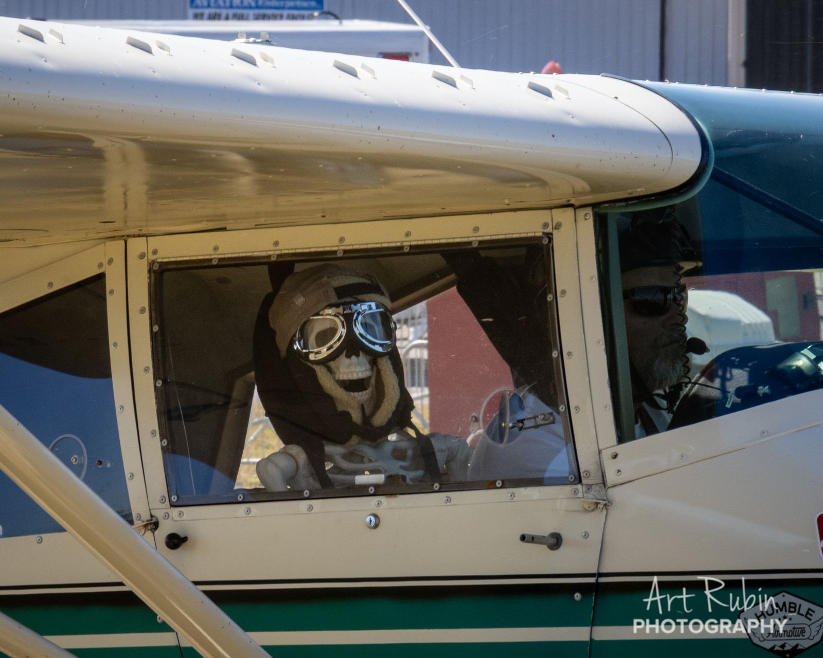 A skeleton copilot riding shotgun