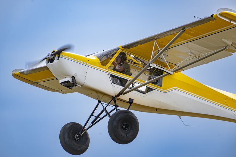 Yellow and white Cub climbing out