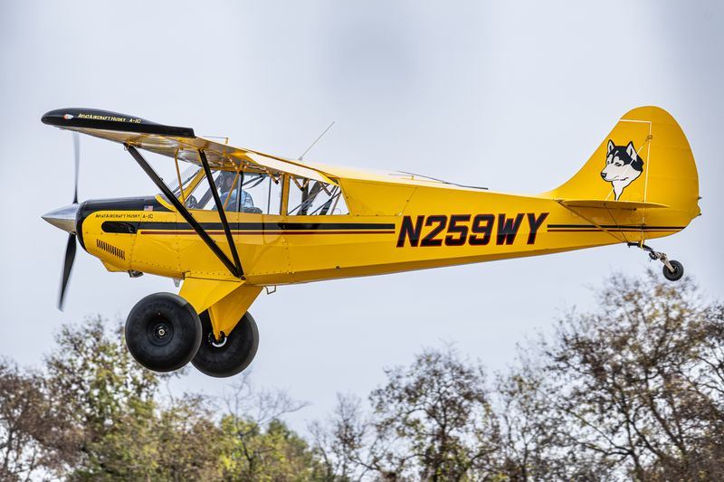 Race 259 · Phil Shearer · Aviat Husky N259WY over the field