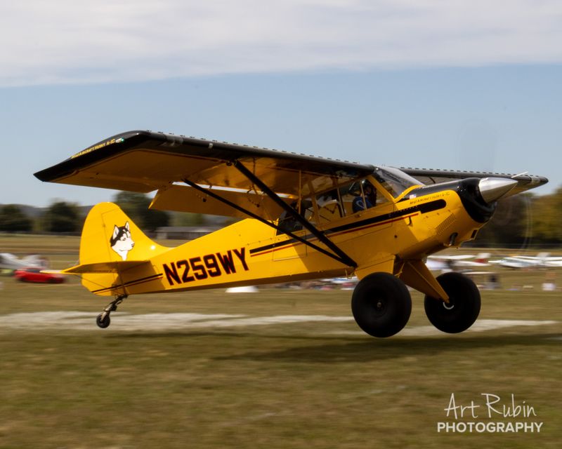 Race 259 · Phil Shearer · Aviat Husky N259WY lifting off