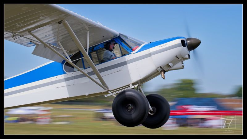 Race 67 · David Warren · Piper PA-18-150 N51627 flaring over the line